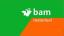 Logo Bumper BAM